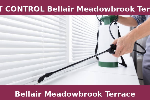 PEST CONTROL Bellair Meadowbrook Terrace